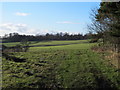 NY9376 : Farmland and woodland east of Barrasford Park by Mike Quinn