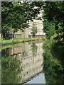 Macclesfield Canal near Bollington, Cheshire