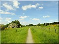 Looking along the Bowes Railway Path