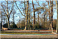 Overflow car park, Black Park Country Park