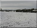 Snow, Clogherny Glebe Upper