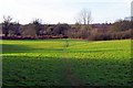 SO8580 : North Worcestershire Path - field near Caunsall, Worcs by P L Chadwick
