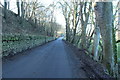 Road to Ballantrae at Laggan Holm