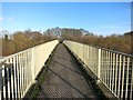 Footbridge to the Thicket