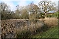 Northland Farm pond