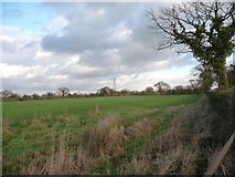 SJ6971 : Farmland north of Crowder's Lane [3] by Christine Johnstone