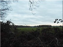 TQ0797 : Field by Rousebarn Lane, Croxley Green by David Howard