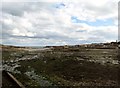 Ardglass Harbour at low water