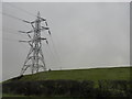 Fields and pylons near Tynllyn