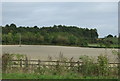 Farmland and woodland, Tankersley Park