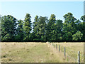 Public footpath towards Langley Park