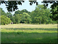 Grassland near Love Hill House Farm