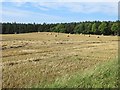 Round bales and stubble