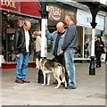 Three men and a dog