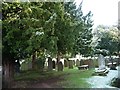 St Marys churchyard, Bruera [2]