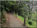 Path in Snake Hill Wood