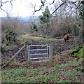 Llwybr Ffarm Cefnucheldre  Farm Path