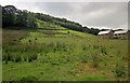 Hillside above Ovenden Wood Road