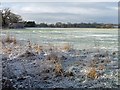 SJ4460 : Snowy field south-east of Chapelhouse Farm by Christine Johnstone