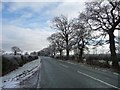 Chester Road, looking east