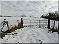 Gate and snow, Glennan