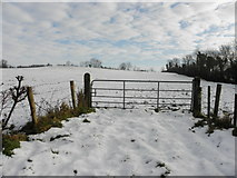 H3965 : Gate and snow, Glennan by Kenneth  Allen