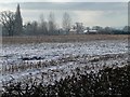 SJ4760 : Snowy stubble field, north of Gatesheath Hall by Christine Johnstone
