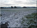 Farmland south of Newton Lane [2]