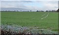 Farmland north of Long Lane, west of Mill Lane