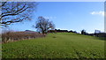 On a footpath approaching Asbatch Farm, Bitterley