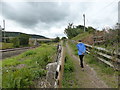 The path leading to the footbridge