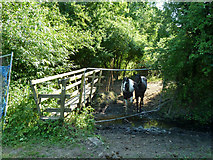 TQ0285 : Footbridge with horses by Robin Webster