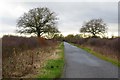 Rural road to Piddington