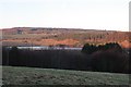 Field near Hawkhill