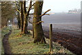 Stanker Hill Farm, Papplewick, Notts.