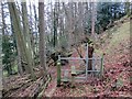 Llwybr Ffarm Pwllagddu Farm Path