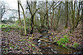 A stream which runs towards the Scout hut and probably feeds Old Warke Dam