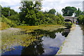 Montgomery Canal above Brithdir Bridge No.125 and Brithdir Lock