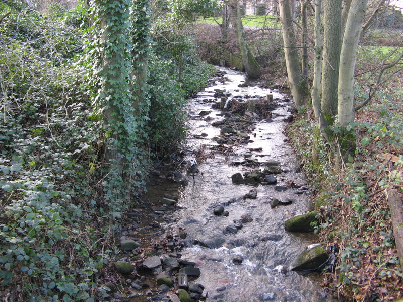 Cottingley Beck © Stephen Armstrong :: Geograph Britain and Ireland