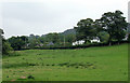 Pasture north of Bollington, Cheshire