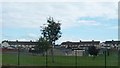 Houses on Derrybeg Estate, Newry