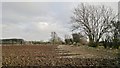 SK7052 : A recently ploughed field near Southwell by Chris Morgan