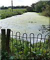 Moat along Loddington Road