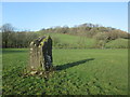 Maen Llwyd Standing Stone