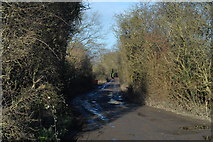 SO5821 : Course of old railway at Hom Green by John Winder