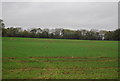 Farmland north of Wood Barn Farm