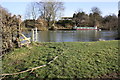 Barge and geese on the Thames from gateway on Thames Path