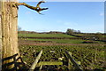 Looking across stream and fields from footbridge