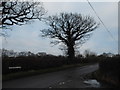 Caterfield Lane at the junction of Park Road