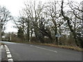 Crowhurst Lane at the junction of Gibbs Brook Lane